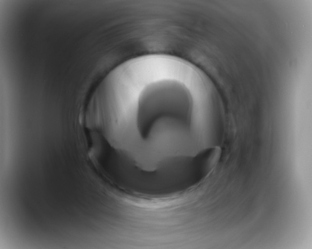 X0000088180019200705292001