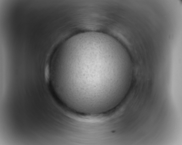 X0000088180020200705292001