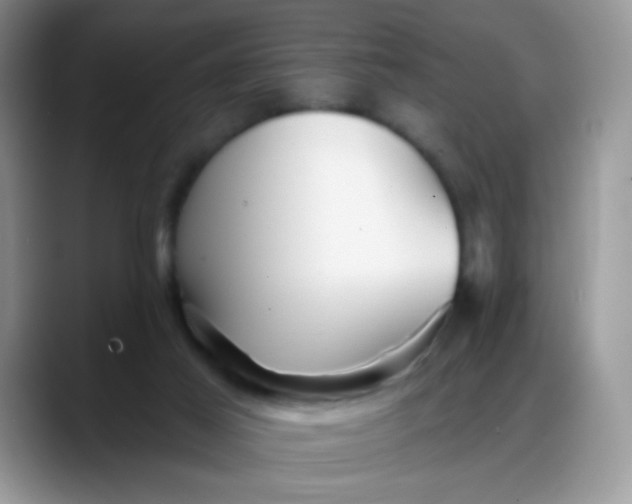 X0000088180021200705292001