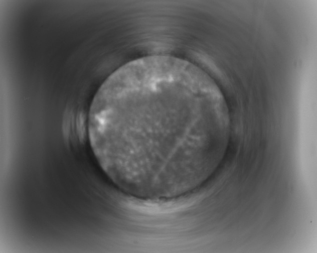 X0000088180022200705292001