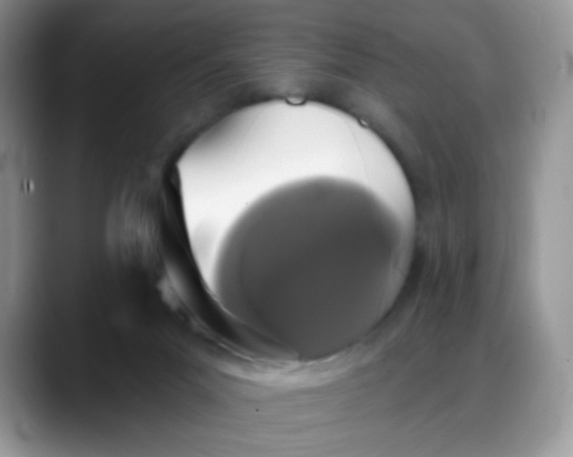 X0000088180023200705292001