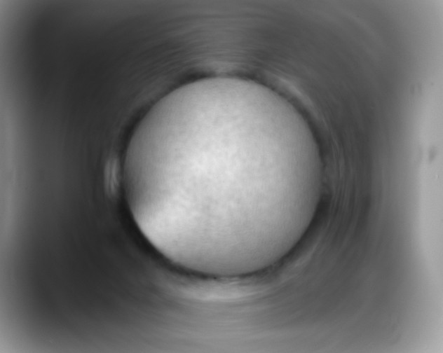 X0000088180024200705292001