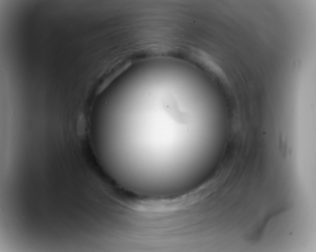 X0000088180025200705292001