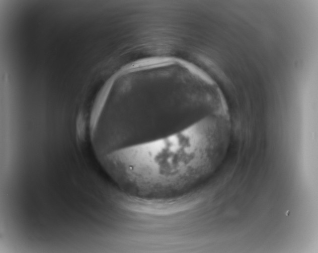 X0000088180026200705292001