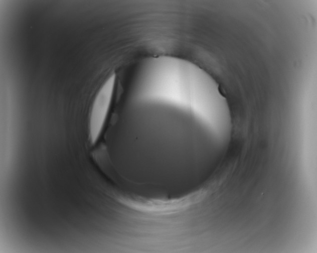 X0000088180027200705292001