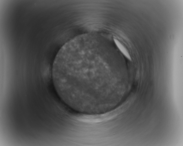 X0000088180029200705292001