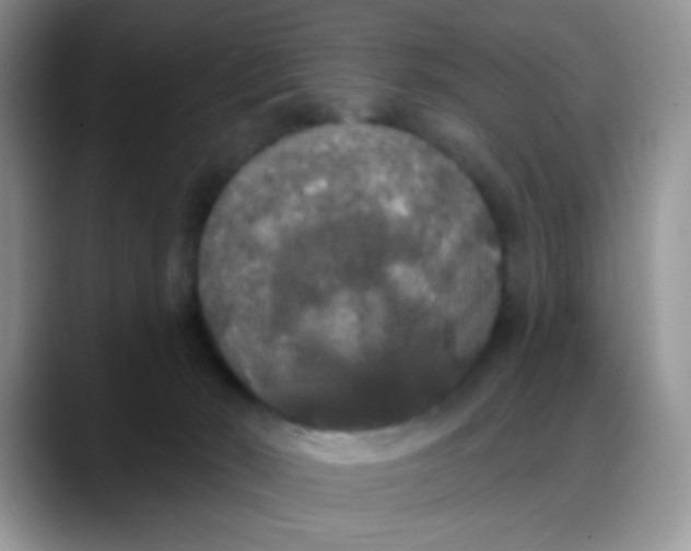 X0000088180030200705292001