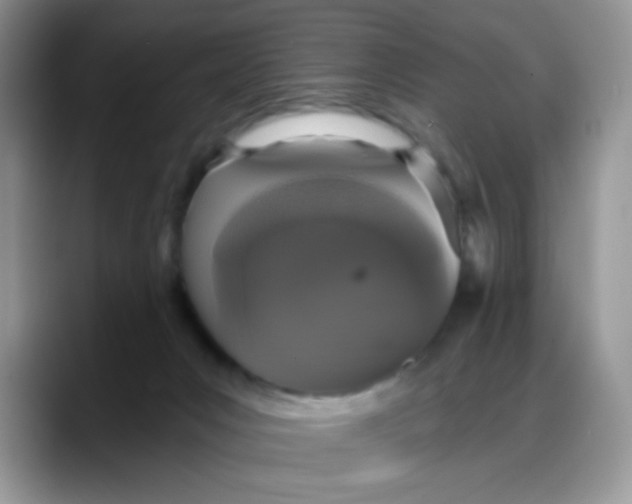 X0000088180031200705292001