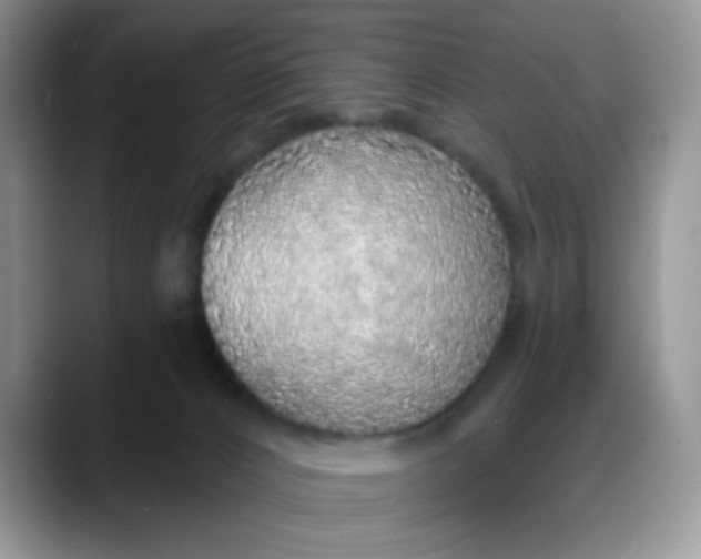 X0000088180032200705292001