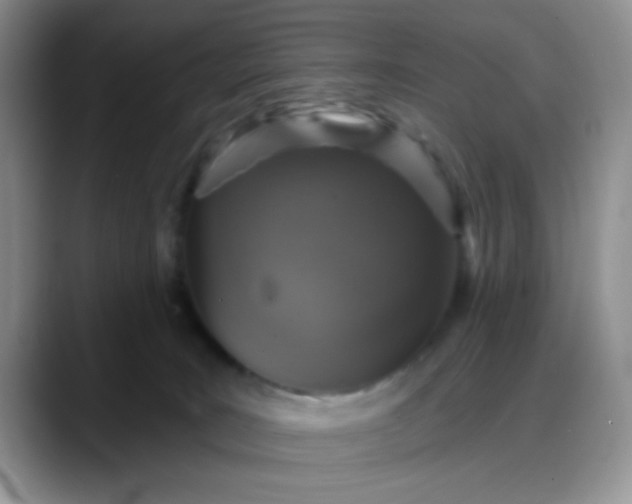 X0000088180035200705292001