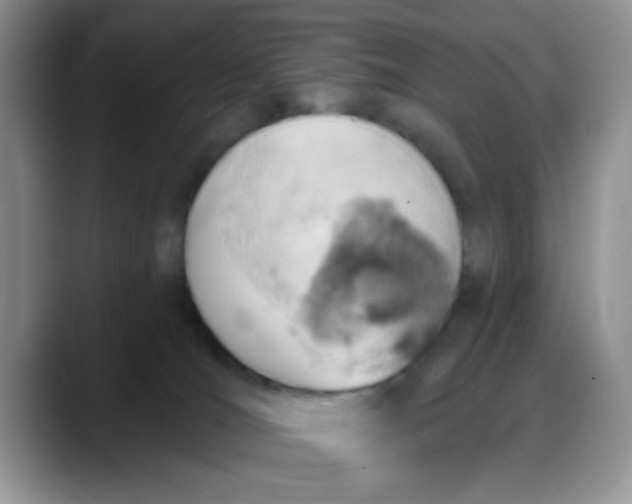 X0000088180036200705292001