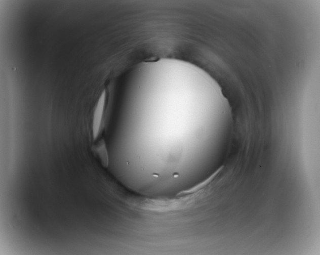 X0000088180037200705292001