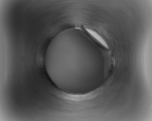 X0000088180039200705292001