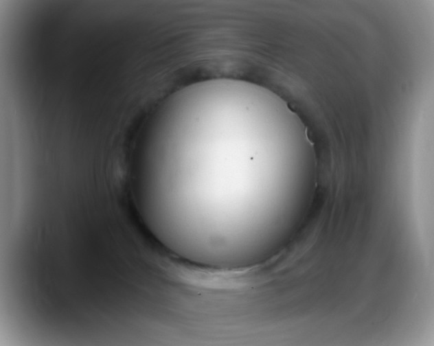 X0000088180040200705292001