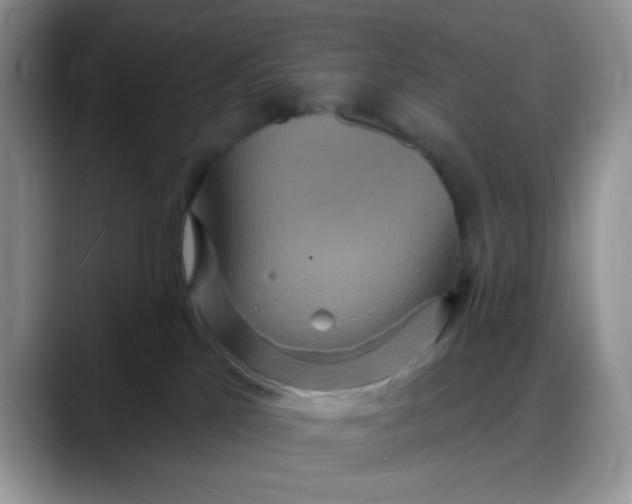 X0000088180041200705292001