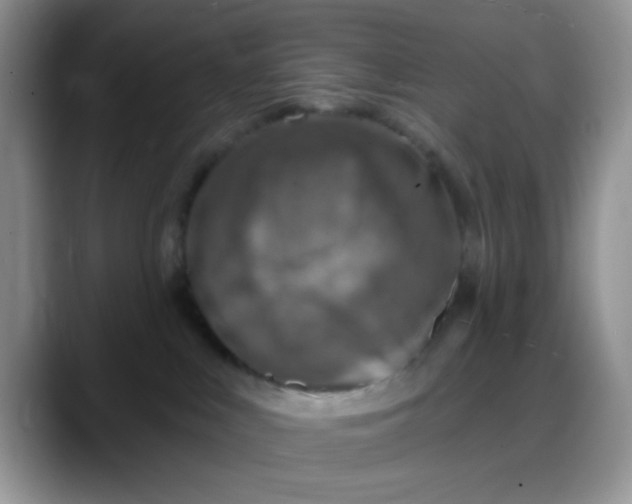 X0000088180043200705292001