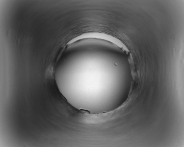 X0000088180045200705292001