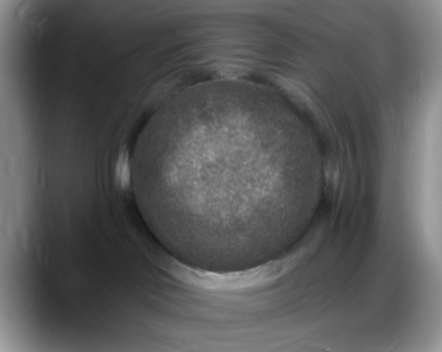 X0000088180046200705292001