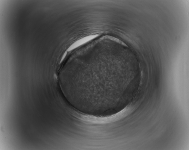 X0000088180048200705292001