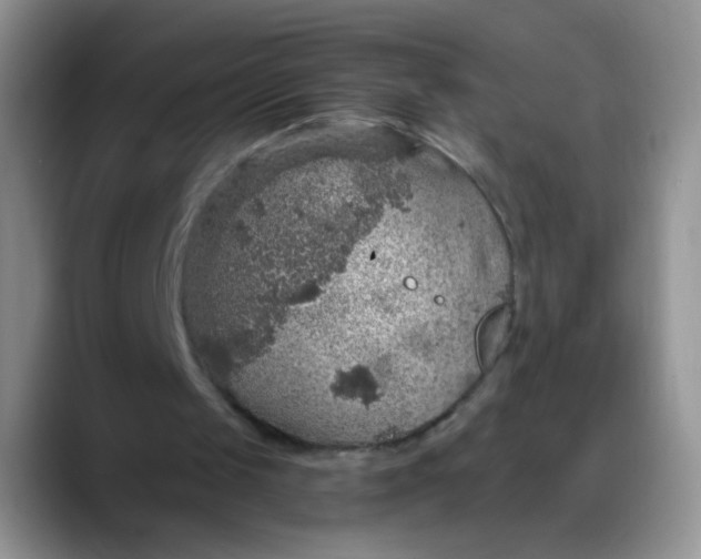 X0000088180049200705292000