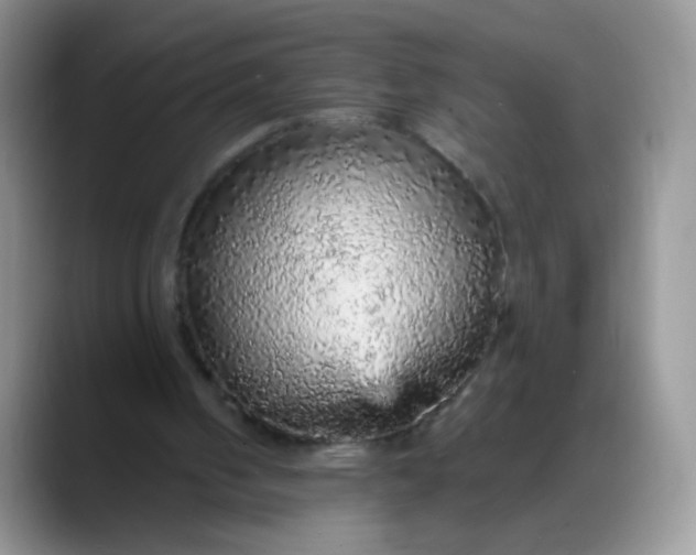 X0000088180050200705292000