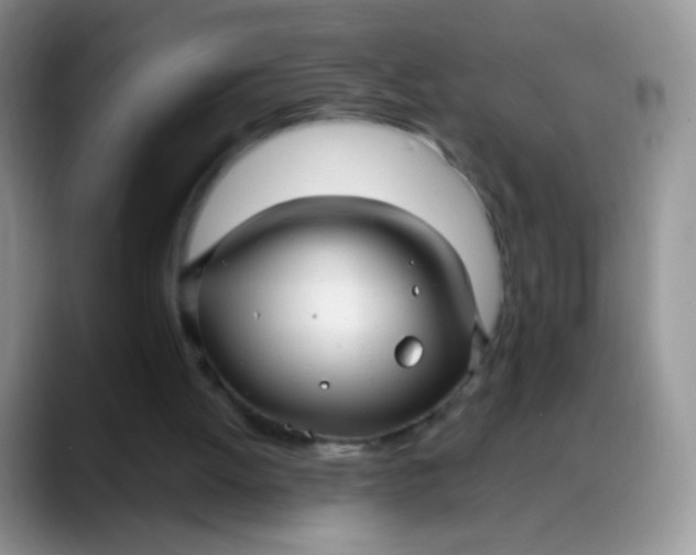 X0000088180052200705292000