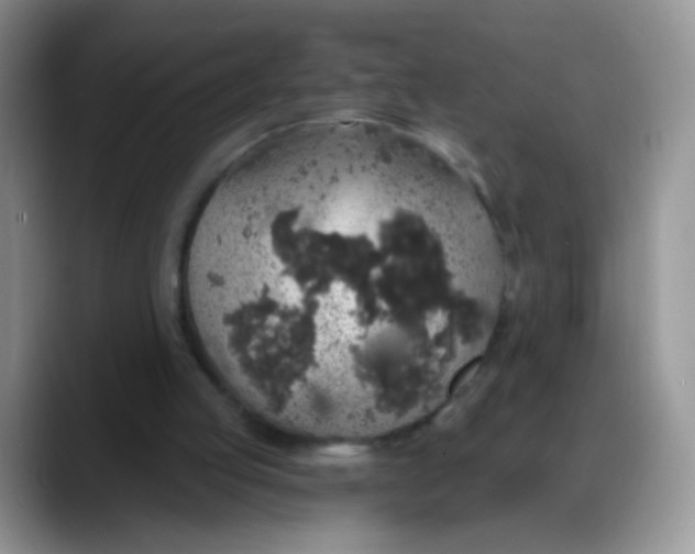 X0000088180053200705292000