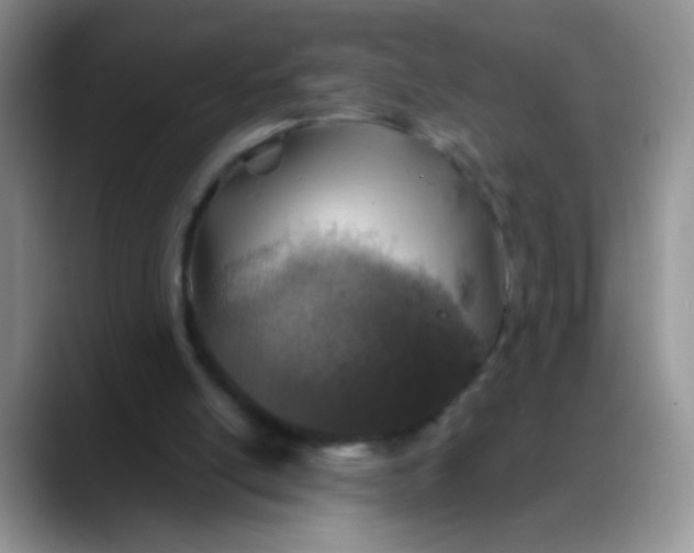 X0000088180054200705292000