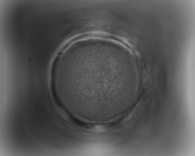 X0000088180056200705292000