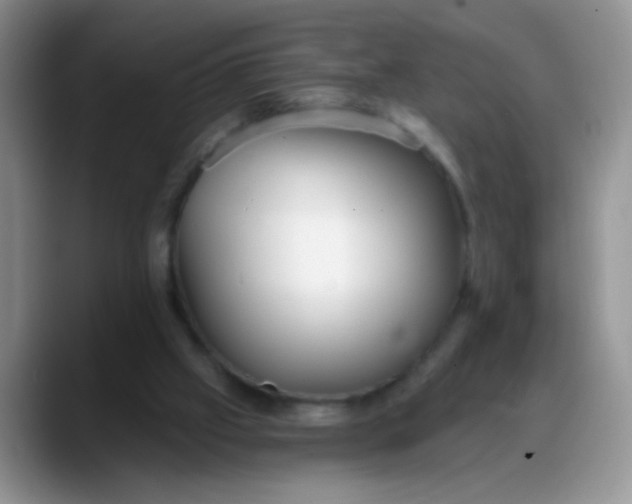 X0000088180057200705292000