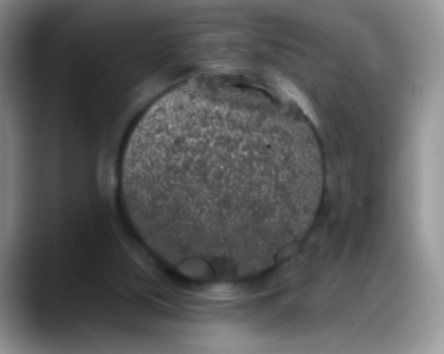 X0000088180059200705292000