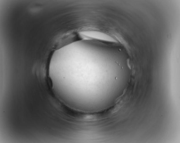 X0000088180060200705292000