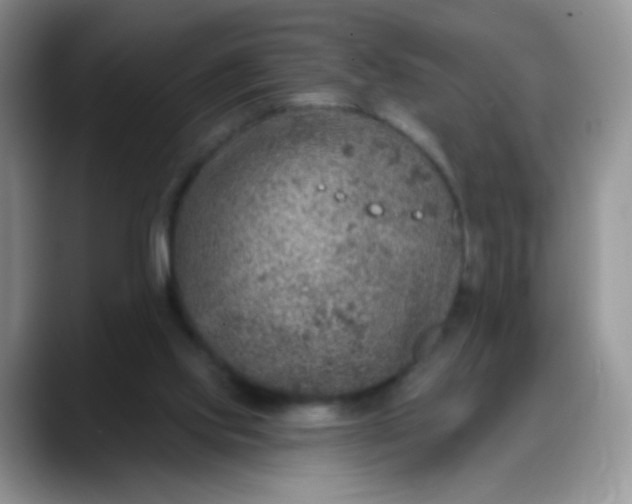 X0000088180061200705292000