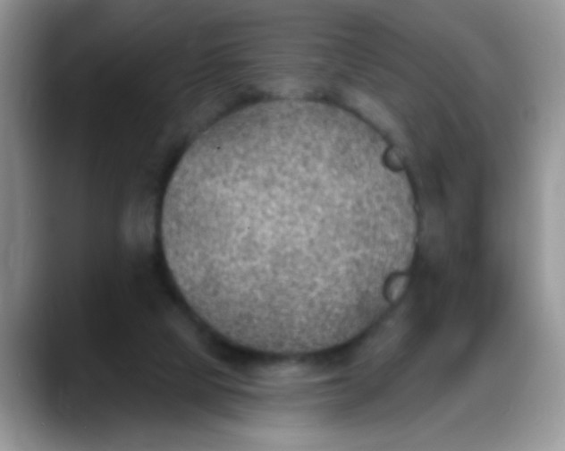 X0000088180065200705292000