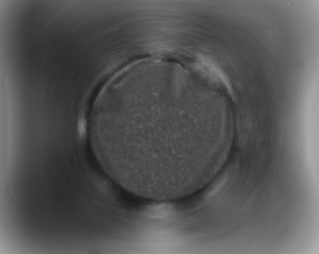 X0000088180067200705292000