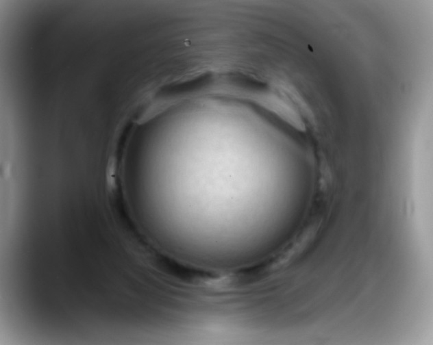 X0000088180068200705292000