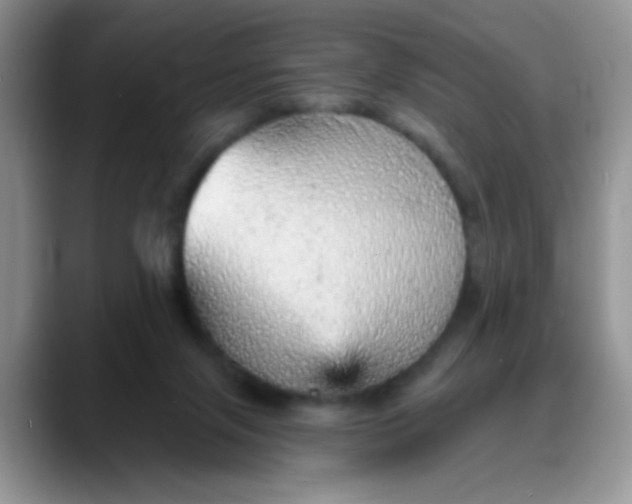 X0000088180071200705292000