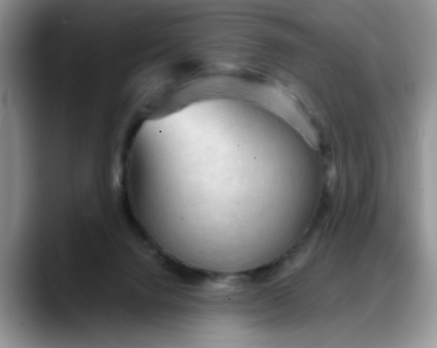 X0000088180072200705292000