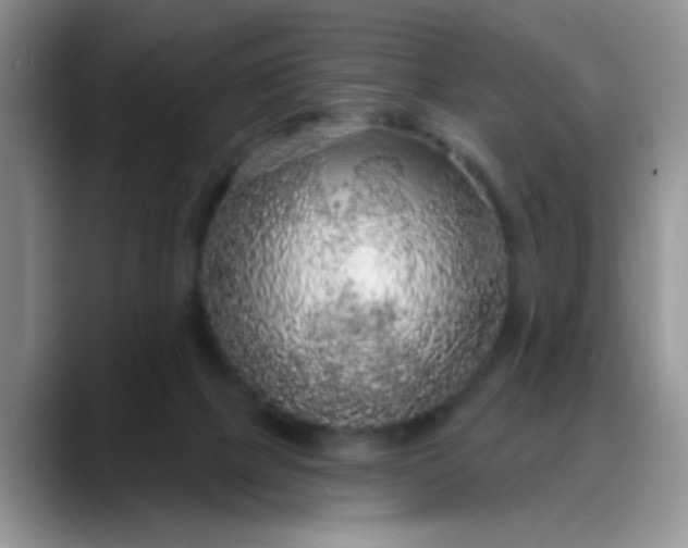 X0000088180073200705292000