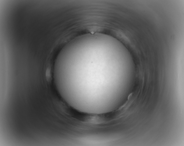 X0000088180074200705292000