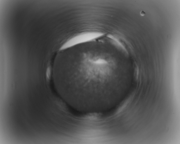 X0000088180076200705292000