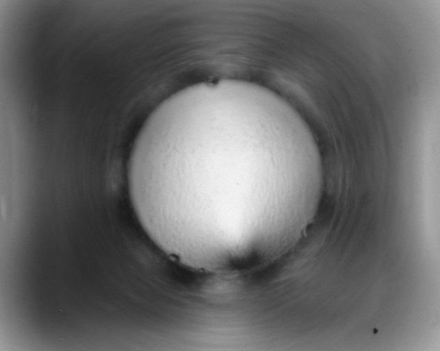 X0000088180077200705292000