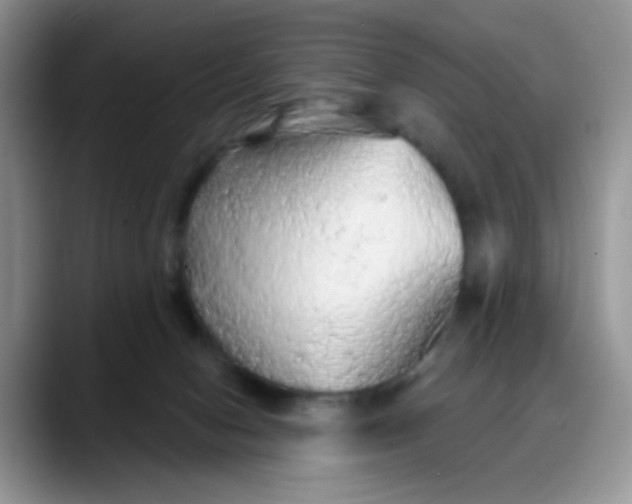 X0000088180078200705292000