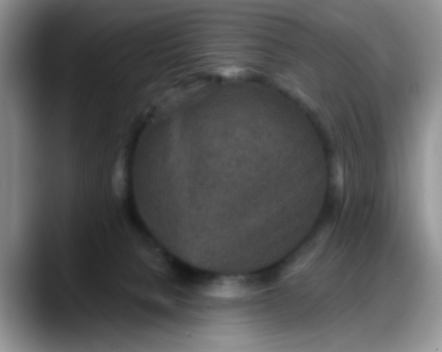 X0000088180080200705292000