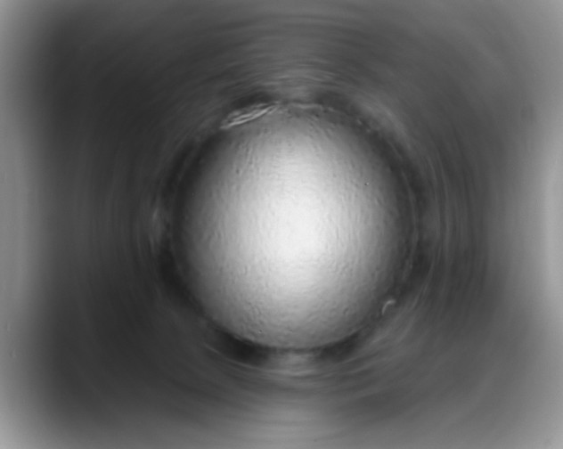 X0000088180081200705292000