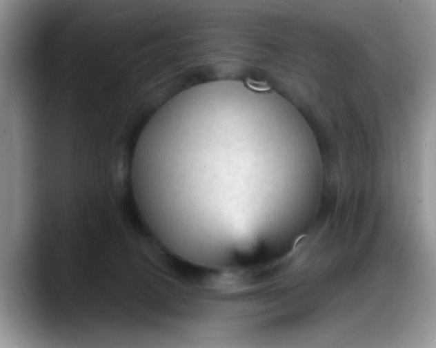 X0000088180082200705292000