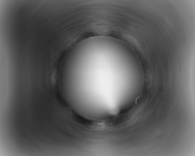 X0000088180083200705292000