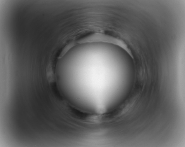 X0000088180084200705292000