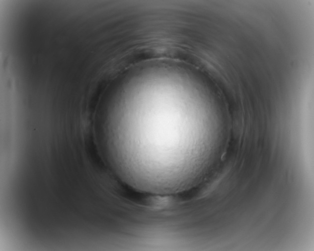 X0000088180085200705292000