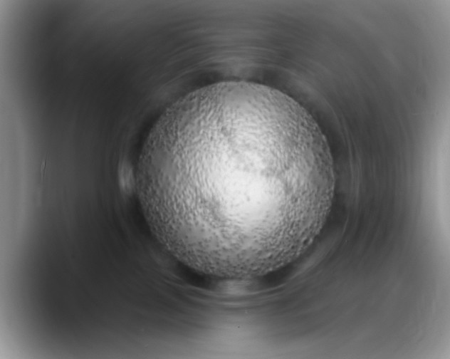 X0000088180089200705292000